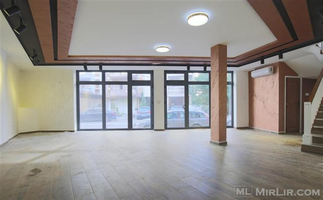 a forest after an apocalypse