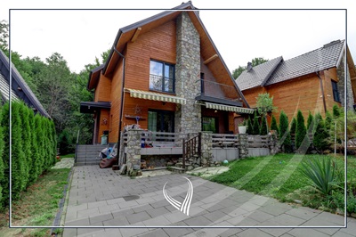 guitar player at concert