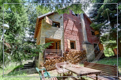 guitar player at concert