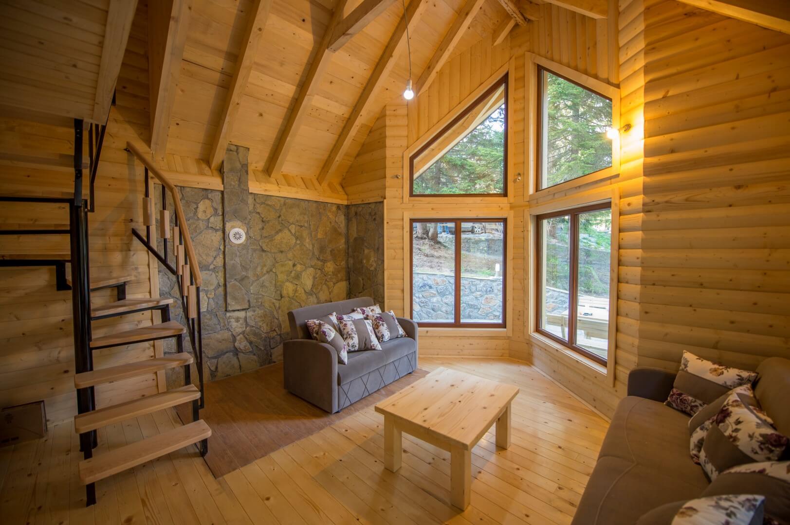 a forest after an apocalypse